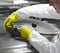 Worker in yellow gloves closing industrial process tank