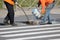 Workers apply a road marking to the pedestrian crossing zebra-stripe crosswalk with white paint and sprinkle the stripes with a re