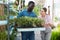 Workers arranging seedlings