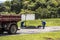 Workers carry out maintenance and cover the holes of a street in the city of Curitiba