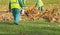 Workers cleaning fallen autumn leaves