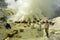 Workers collecting sulfur from volcano Ijen