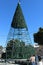 Workers constructing an artificial christmas tree in Bethlehem