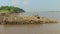 Workers cutting and moving bamboo poles stored in water along the riverside