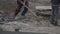 Workers digging shovels at a construction site, industry. Manual labor, work