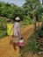 Workers employed farmers are going to spray herbicides on paddy fields in a rural area early morning