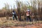 The workers are harvesting the sugarcane