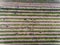 Workers harvesting in vineyard, aerial view from above