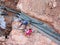 Workers installing underground utility and services pipe in the shallow trenches at the construction site.