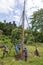 Workers lift a utility pole, West Papua, Indonesia