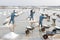 Workers make salt piles at the Hon Khoi salt fields in Nha Trang, Vietnam