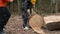 Workers measure the cut down tree. The manager processes the data in tablet.