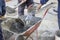 Workers mixing the cement by hand in wheelbarrow 2