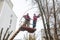 Workers in the municipal utilities cut tree branches. Trimming tree branches interfering with power wires