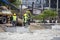 Workers preparing root ball of trees