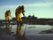 Workers in protective gear cleaning up oil spills