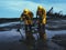 Workers in protective gear cleaning up oil spills