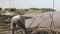 Workers putting bamboo poles in water to move them to the riverbank