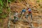 Workers reinforce the mountainside to prevent landslides on the road