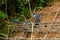 Workers reinforce the mountainside to prevent landslides on the road