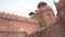 Workers repairing ancient wall of Red Fort famous tourist destination at New Delhi India Asia angled wide shot