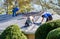 Workers Repairing the roof of a home