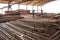 Workers in a sawmill