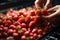 workers sorting fresh red strawberry on conveyer