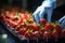 workers sorting fresh red strawberry on conveyer