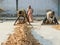 Workers at Spice Market in Cochin, India