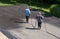 Workers spraying blacktop or asphalt sealer onto roadway