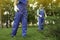 Workers spraying pesticide onto green bush outdoors, closeup. Pest control