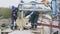 Workers Stand on Cistern Car Lower Pipe into Tank