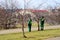 Workers supervising sakura trees in Vilnius city