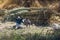 Workers take a break from cutting reeds along the west bank of the River Nile near Aswan in Egypt.