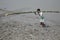 Workers unload cargo from the boat in Gosaba, India