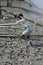 Workers unload cargo from the boat in Gosaba, India