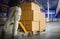 Workers Unloading Package Boxes on Pallets in Storage Warehouse. Cartons, Parcel Boxes. Pallet Jack Loader. Supplies Warehouse