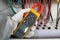 Workers use clamp meter to measure the current of electrical wires produced from solar energy for confirm to normal current