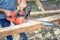 Workers using a chainsaw cutting and sawing industrial construction wood. Laborer slicing timber