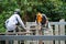 Workers are using Impact drill to drill concrete