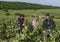 Workers Vineyard Dormans in Champagne