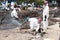 Workers and volunteers are spraying chemicals onto crude oil contaminated on the beach.