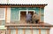 Workers walling the house with wall siding