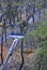 workers work on the street cut branch tree autumn landscape Minsk Belarus