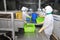 Workers are working with a shrimp sizing machine in a processing plant in Hau Giang, a province in the Mekong delta of Vietnam