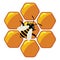 Working bee on honeycells, vector