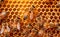 Working Bees on a Honeycomb extreme closeup. Generative AI