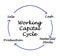 Working Capital Cycle