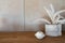 Working corner decorated artificial plant inside vase on wooden top set in natural light scene /apartment interior copy space